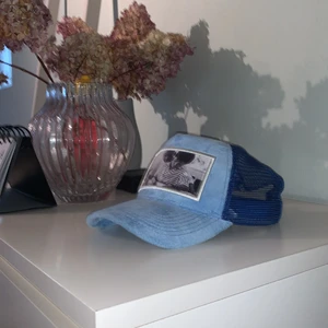 Maggiore C8 - Maggiore C8 Keps