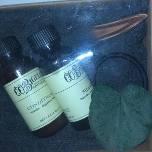 Resekit  - Litet rese kit, i så får man med schampo, balsam hårband handduk och sminkbortagning