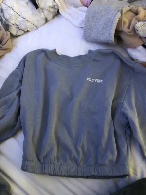 Häst tröja. - Kommer aldrig till andvädning, använd 1 gång.