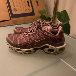 Nike Air Max plus TN - Nike sneakers 