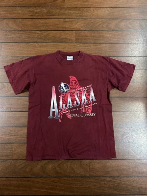 Vintage Alaska T-shirt  - Snygg vintage tröja i storlek L! Bara att skriva om du undrar över något🙏