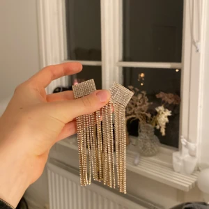 Zara örhängen - Örhängen från zara, går inte att köpa längre