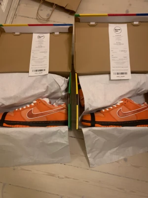Nike sb dunk Orange lobsters - Nike sb dunk orange Lobster 