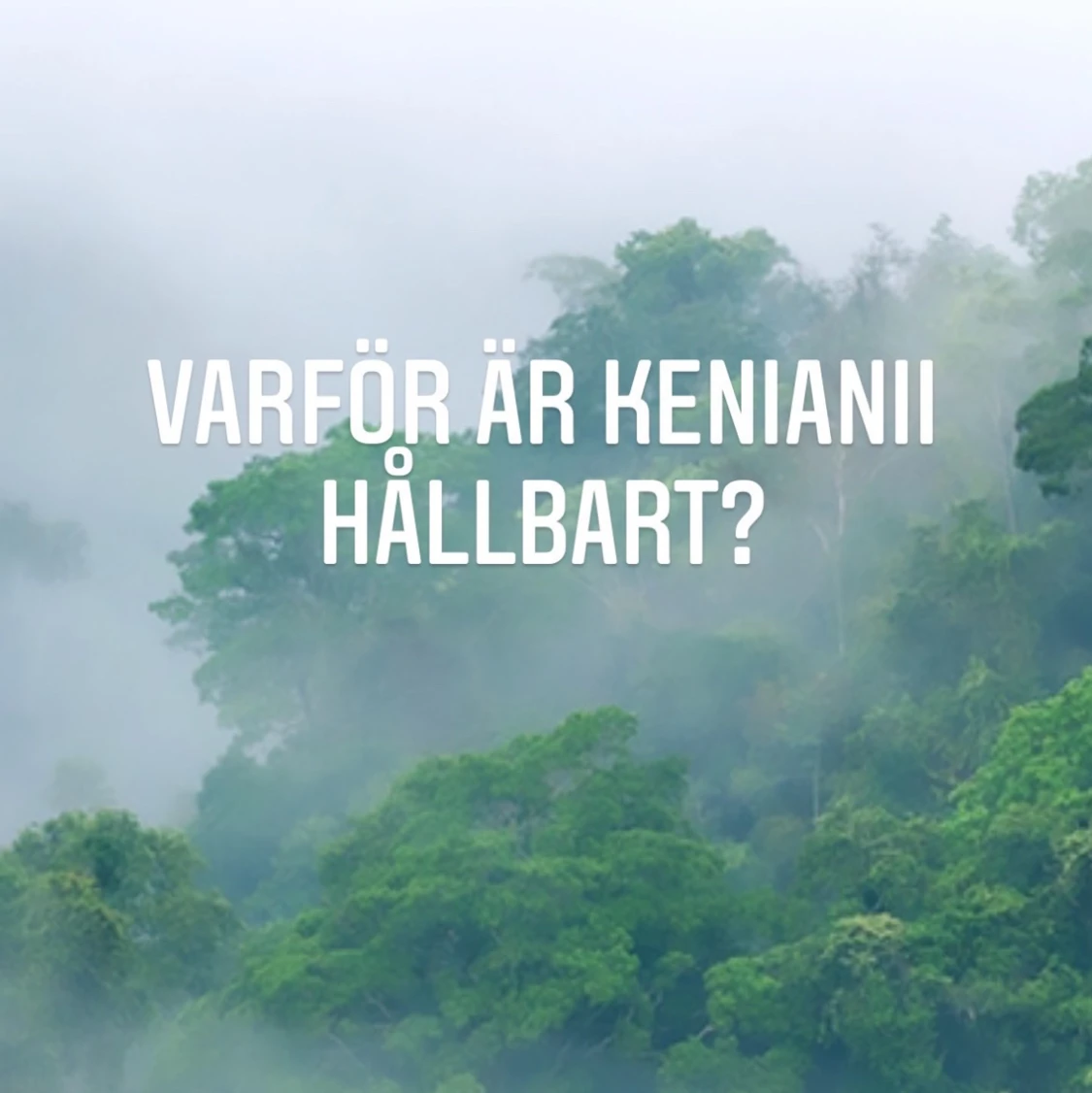 Hållbarthetsinformation 