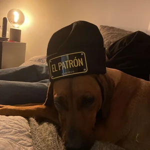 John hatter mössa - En John hatter mössa (el patron) som aldrig e andvänd, köpte en moncler mössa så tror inte jag kommer använda den, kan gå ner i pris 