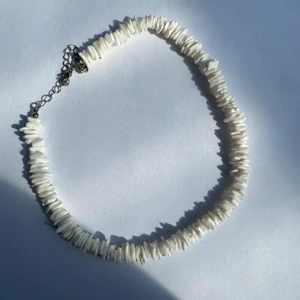 Snäckhalsband - Snäck halsbandet du letar efter! 🐚🌞🍋💛