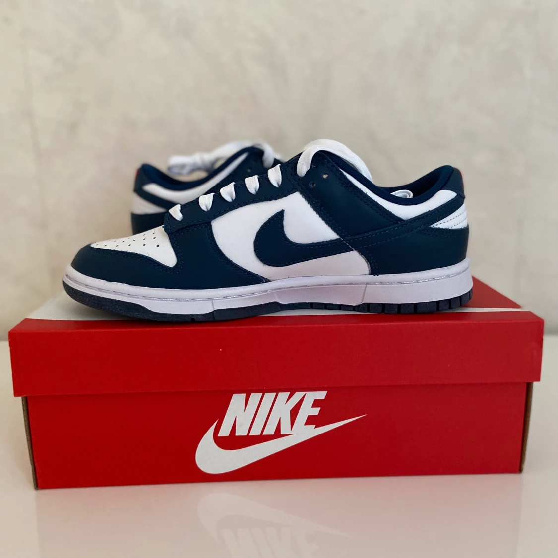 Nike Dunk Low Valerian Blue  - 91