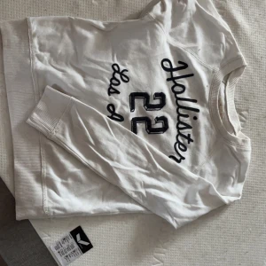 Hollister tröja  - Hollister tröja som är köpt i hollister butiken i Stockholm. Använd några gånger men inga fläckar osv 