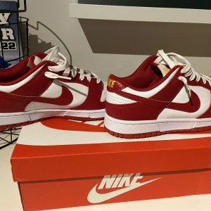 Nike dunk  - Använda en gång. Helt nya skor! 100 procent äkta! Köpta på S&c hype för 2500. Inget kvitto!
