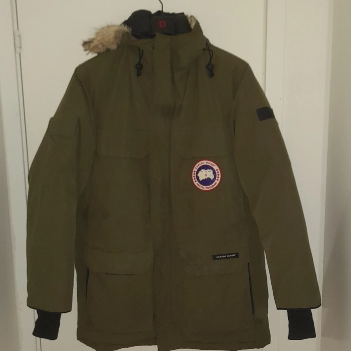 Canada goose arctic program  - 90