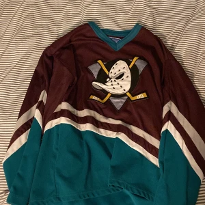 Hockey tröja - Bra skick lite ändvänd,hockey tröja mighty ducks nummer 22.
