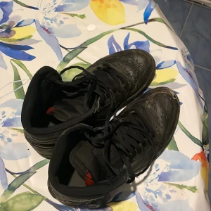 Mölndal - Jag säljer ett par air Jordan skor