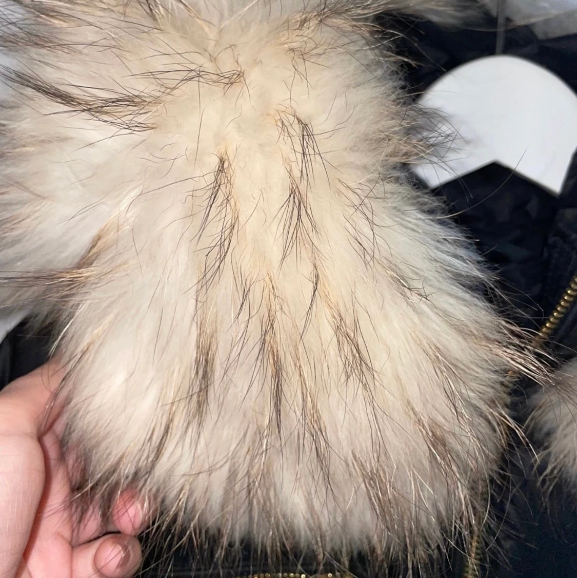 Rock and blue jacka - 90