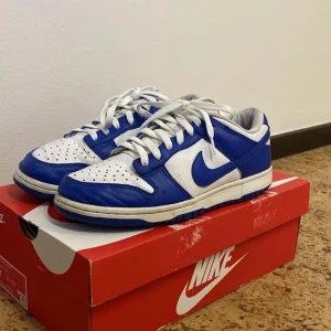 Nike dunk low Kentucky  - 7/10 ny pris 4500