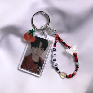 DINO SEVENTEEN KPOP KEYCHAIN - Handgjord seventeen merch 💖 kan även göra customs till andra grupper/medlemmar🌸 dma för gratis frakt med frimärke (icke spårbar). Finns bara en av varje!