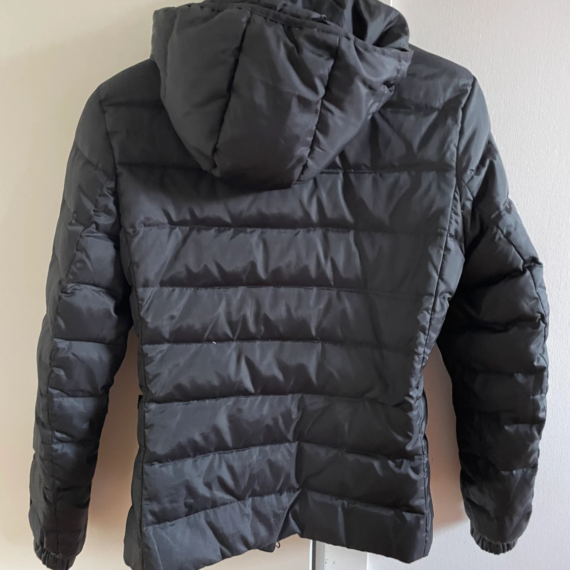 Jacka från Champion