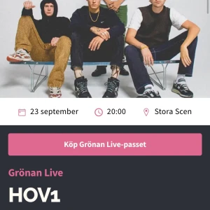 HOV1 konsert - Säljer en biljett till HOV1 konserten på grönan fredag den 23 september kl 20. Vet inte om jag ska gå men hör av dig om du är intresserad! Ifall du köper skickas biljetten med länk och qr kod. 