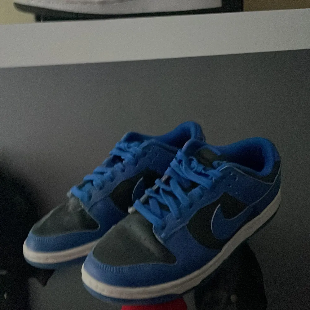 Nike dunks i rätt så bra Skick. Kvitto och box finns. Skor.