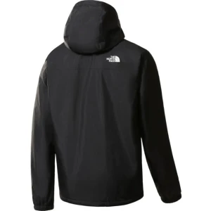 Northface jacka - Jackan är i nyskick och är i storlek l har använt i 6 månader inte längre kan mötas upp i uddevalla eller kan den skickas. Köparen står för frakten
