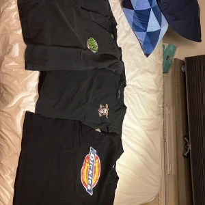 T-shirt  - Santa Cruz storlek S sådär skicka men inga skador. Bones storlek s väldigt bra skick  Dickies storlek s sådär skick  150kr styck