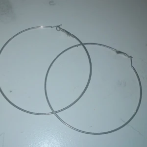 Örhängen  - Stora runda örhängen.