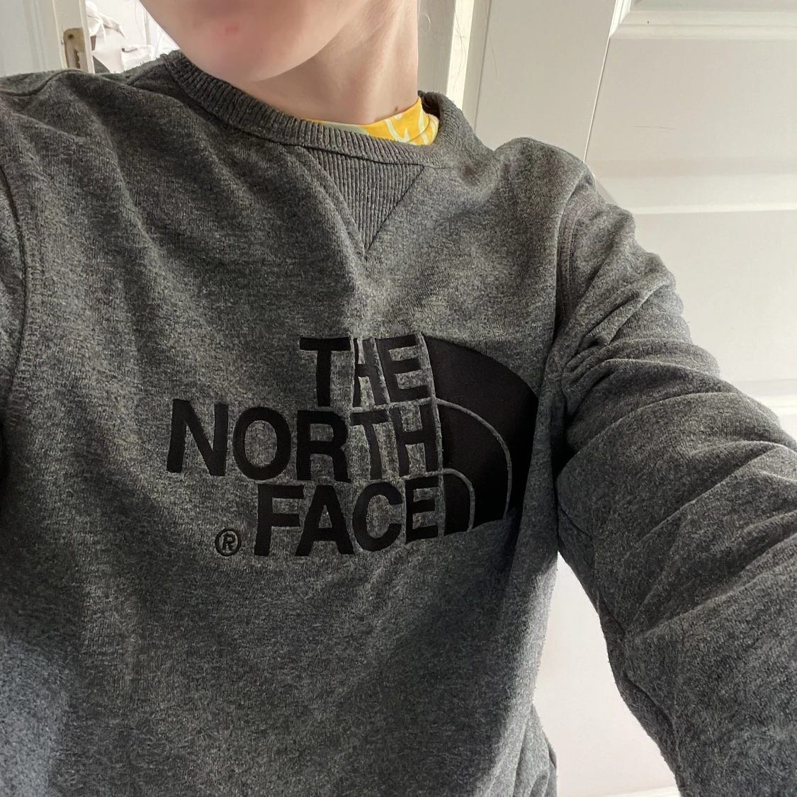 The North Face sweatshirt - 90