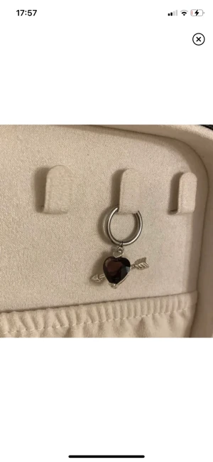 Örhänge  - Säljer det här jätte fina örhänget som påminner mycket om marianilsdotter, berlocken är äkta silver 💕💘