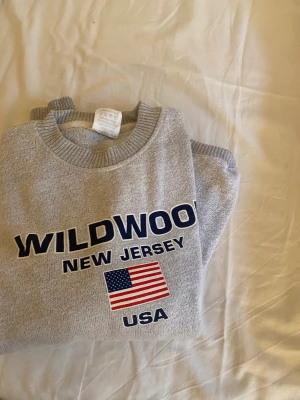 Grå tröja  - Ett rätt så dyrt märke tror jag men säljer den billigt för att det inte är ett känt märke💕 köpte den begagnad för fyra hundra kr