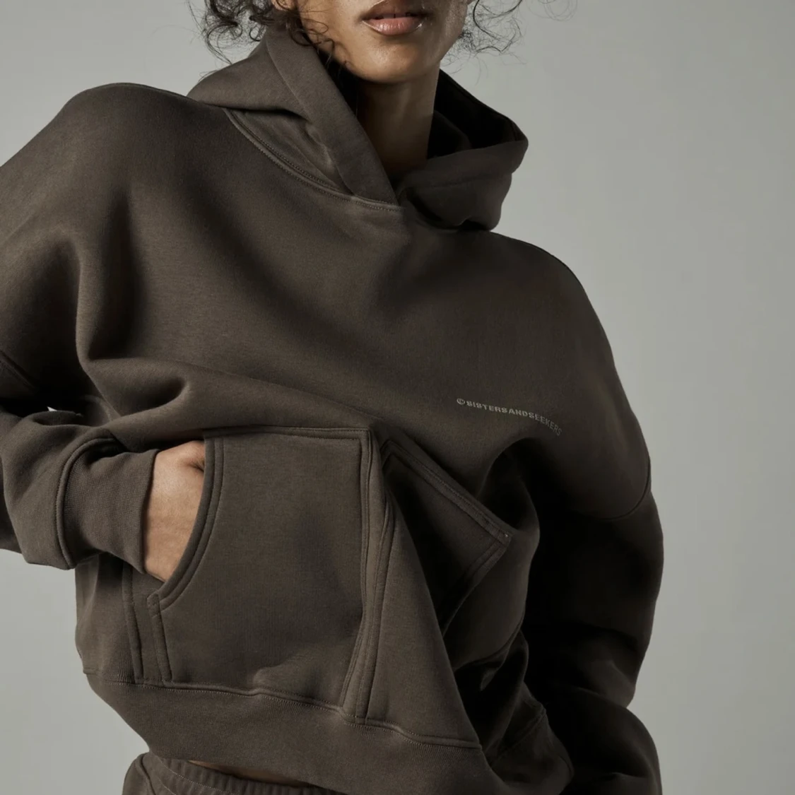 Sisters and seekers hoodie - 91