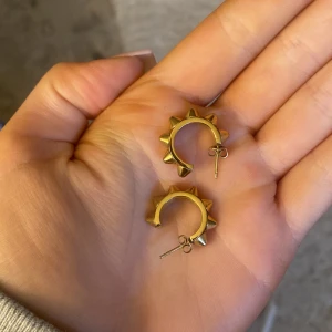 Edblad örhängen  - Säljer mina Edblad örhängen i guld💗 Inte så använda så dom är i bra skick💗skriv privat för frågor 