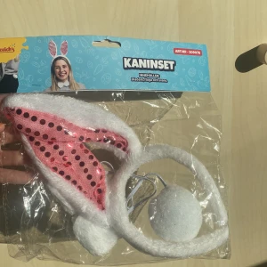Oanvänd utklädnad - Oanvänt kanin-set, perfekt till halloween eller utklädnad! 