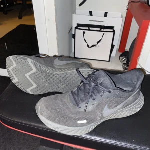 Nike skor - Storlek:44 passar bra på 43 också. Köpta för 559kr.använt dom till och från i 2 år