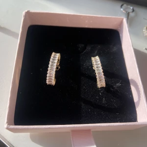 Örhängen  - Säljer mina helt oanvända örhängen. Aldrig ens testade!! Box med följer! Från edblad. Nypris 500kr