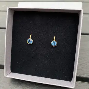 Jättefina guldiga örhängen med blåa diamanter, men tyvärr har dom aldrig kommit till användning. Köparen står för frakten🌸