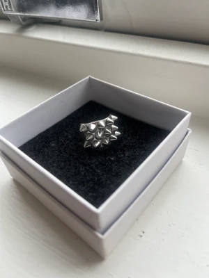 Eblad ring - Säljer min silvriga eblad ring i princip nyskick eftersom jag inte använder silver!💕💕