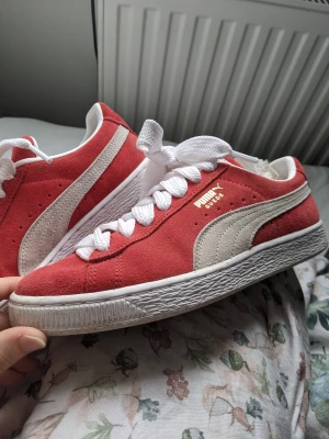 PUMA sneakers röda  - Puma sneaker I väldigt bra skick. Har använts sparsamt pga valde fel storlek.  Medföljer röda skosnören också!  Stl 38 (de är sanna i storleken)