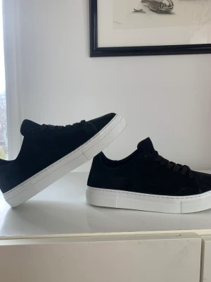 Selected Homme skor - Helt nya Selected Homme skor strl 44 men passar även 43. Säljer pga för liten storlek. Nypris  1200kr