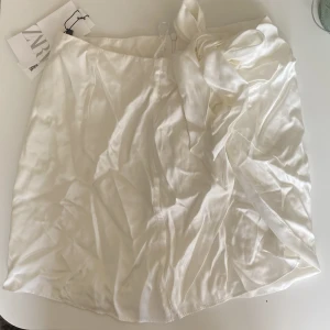 Kjol från zara - Nyskick aldrig använd prislapp kvar, nypris 299kr