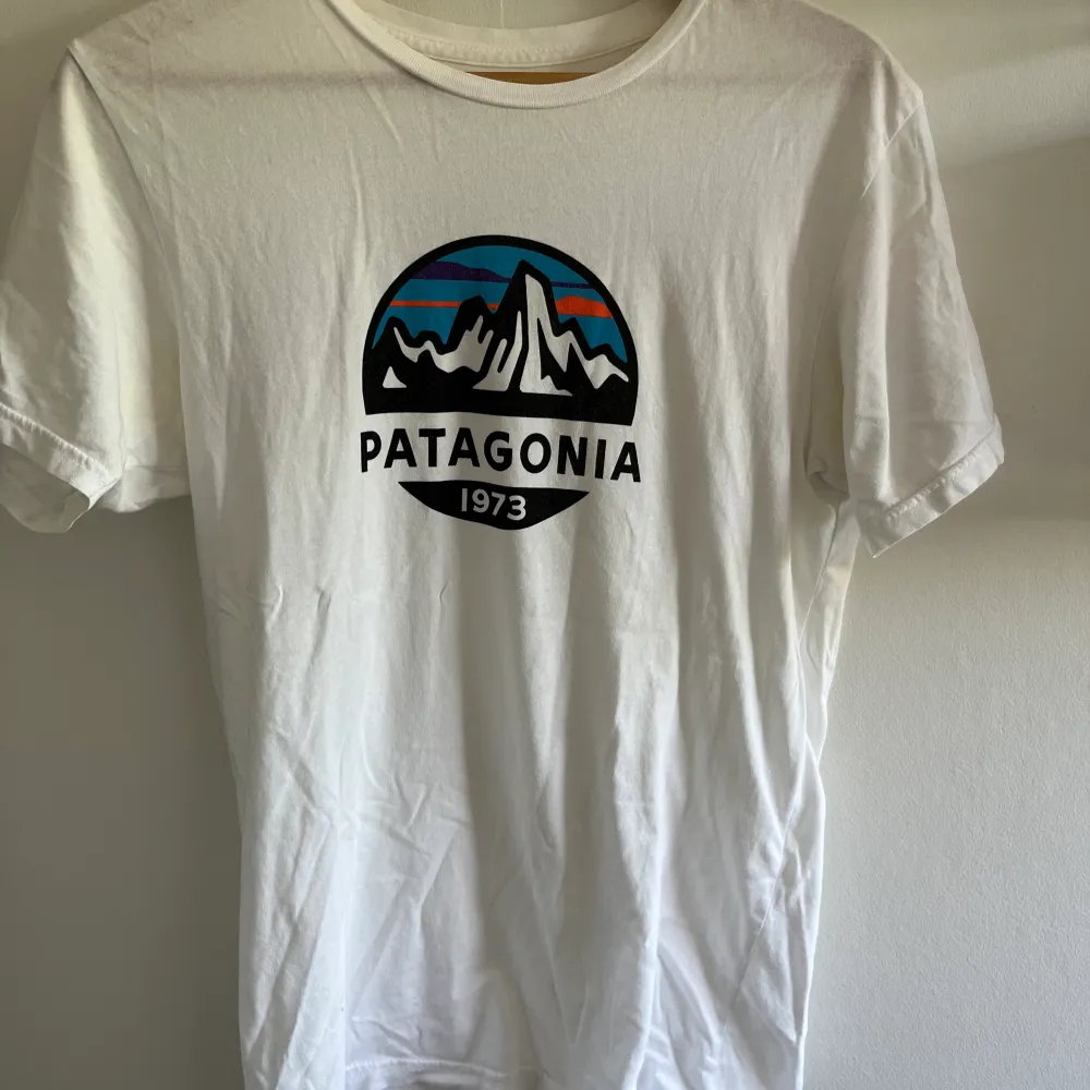 Patagonia T-shirt i använt men bra skick! Passform slim fit . T-shirts.
