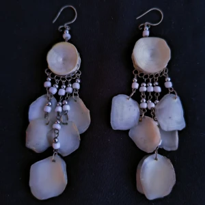 Örhängen  - Handgjorda örhängen av fiskfjäll