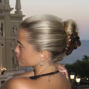 Selór klämma🌺🤎 - Säljer en hårklämma från Selór🤎 Helt oanvänd! ✨ Superfin. Ord pris 179kr ( 1:a & 3:e bild lånad)