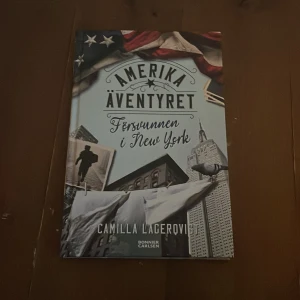 Amerika äventyret (försvunnen i new york) - Säljer denna bok för har redan läst ut den! 