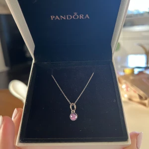 Pandora smycke  - Såå fint Pandora smycke med en Amtetist Sten och sterling silver (92,5 % silver) ! Aldrig använd💗 nypris ca 900kr💖 (S925 står för sterling silver 92,5 % silver)