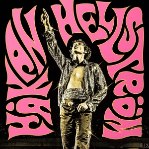 Håkan Hellström biljetter - Hej! Jag säljer nu mina 2 ståplatser till Håkan konserten 5 augusti i Stockholm, stadion då jag tyvärr inte kan gå! Pris kan diskuteras❤️