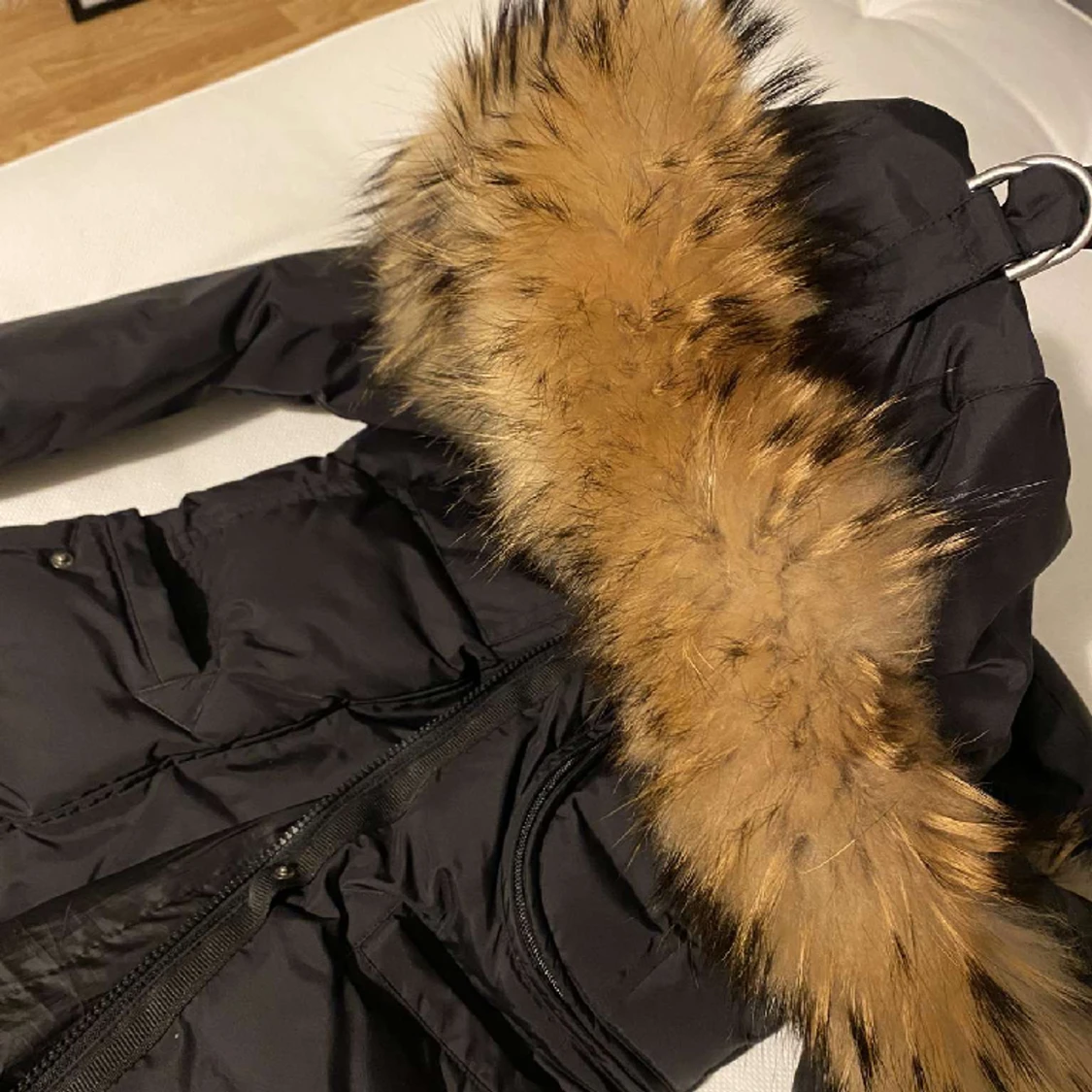 Hollies livingp kacka - 91