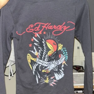 Ed Hardy  - Ed Hardy långarmad grå tröja nyligen köpt och i bra skick 