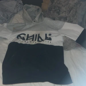 Hoodie  - Lite fläckar men annars u bra skick