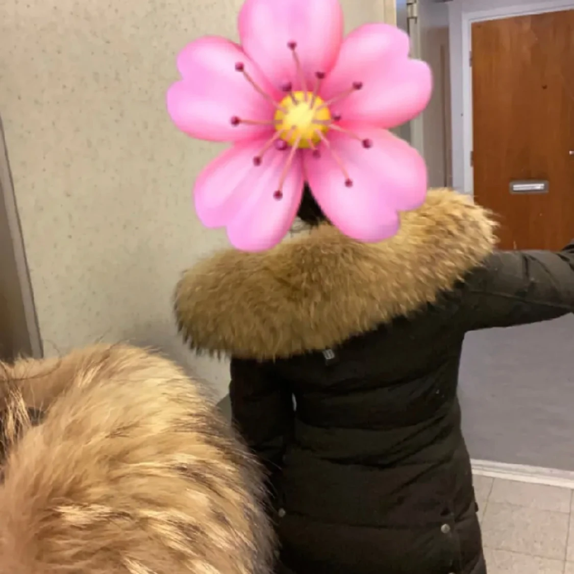 Hollies Sub way  - 91