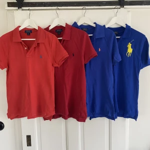 Ralph Lauren tröjor - Säljer brushans gamla POLO/Ralph Lauren Pikér i storlek 14-16 barn på samtliga. De är köpta på Kidsbrandstore men inget kvitto!  Säljer gärna paketpris för 800 En tröja annars 250