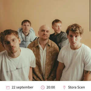 Tjuvjakt biljett  - TVÅ TJUVJAKT BILJETTER🥳 då jag inte kan gå längre säljer jag två biljetter!! 22/9 på Gröna Lund, köp båda två för 900kr💗💗du får biljetten via sms så hör av dig privat om du vill köpa, PRIS KAN DISKUTERAS